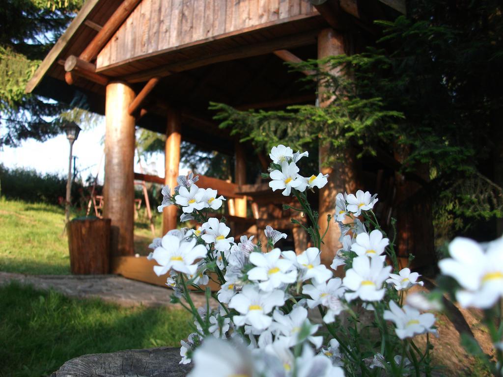 Willa Na Bani - Apartamenty I Pokoje Rabka-Zdrój Exterior photo